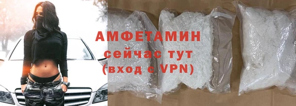 гашик Сосновый Бор
