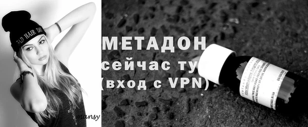 гашик Сосновый Бор