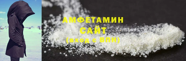 гашик Сосновый Бор