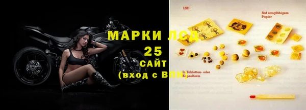шишки Сосновка