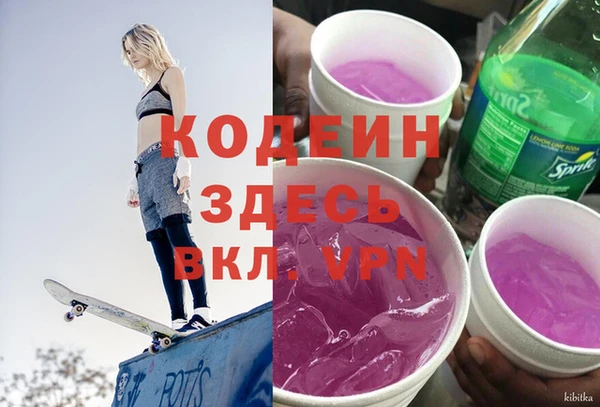 шишки Сосновка