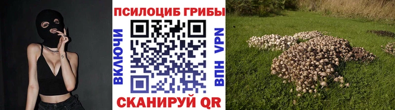 Псилоцибиновые грибы прущие грибы  как найти закладки  Павловская 