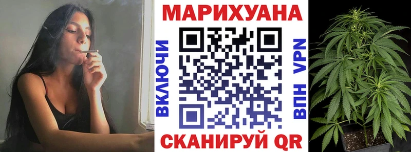 Каннабис гибрид  Павловская 